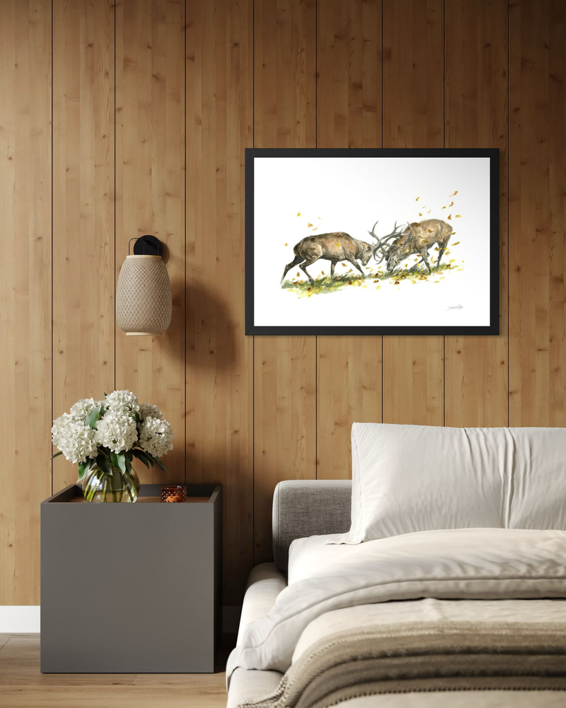 Comabt de cerf_in situ_1_©Derib-Orakart.webp