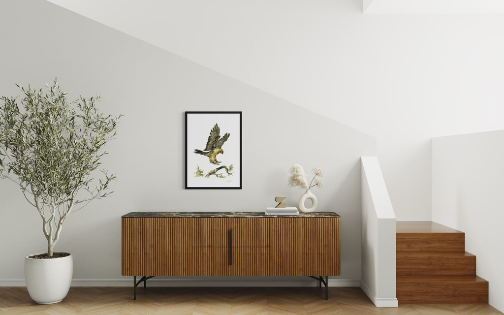 le gypaète_in situ_2.webp